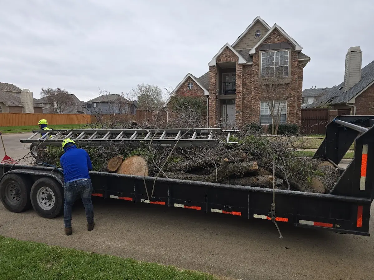 Expert Crown Reduction with proper safety equipment in Daleville